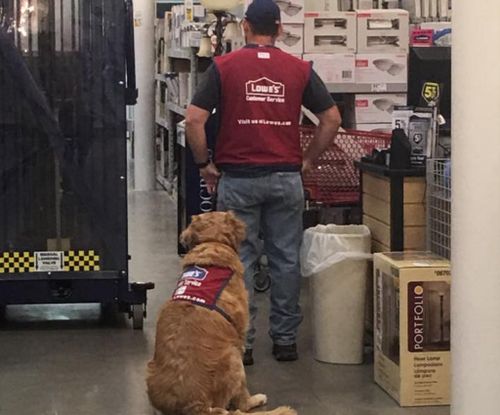 Disabled veteran Clay Luthy and his service dog Charolette now work at a hardware shop. (Facebook / Judy Dechert Rose)