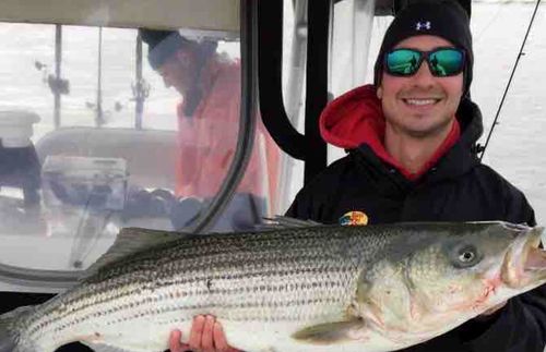 US surfer dies from 'brain-eating amoeba'