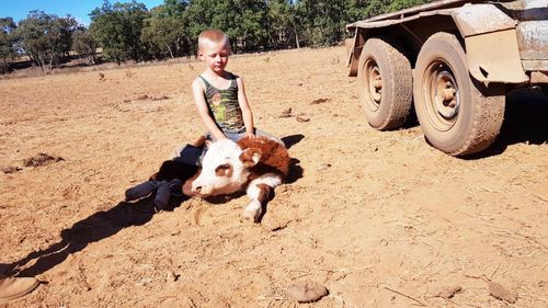 Harry Taylor, pictured on his family's property near Coonabarabran, made a wish for rain for his 6th birthday earlier this month. (Photo: Jess Taylor)