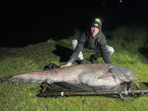 Darren Reitz and huge catfish