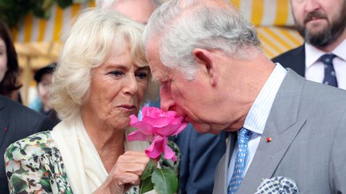 Prince Charles and Camilla spoke about the wedding from France. (PA/AAP)