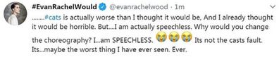 Evan Rachel Wood, cats, tweet, blasts movie