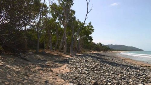 Wangetti Beach, north of Cairns. 