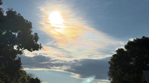 A﻿ Sydney photographer has captured a rarely observed rainbow cloud phenomenon called "irridescent clouds."﻿Maria Milford was driving to the Gold Coast when she spotted the iridescent clouds over the sky in Woolgoolga, NSW. 