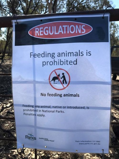 Those caught offering domestic livestock feed to a native or introduced animal in the park will receive a $322 fine.