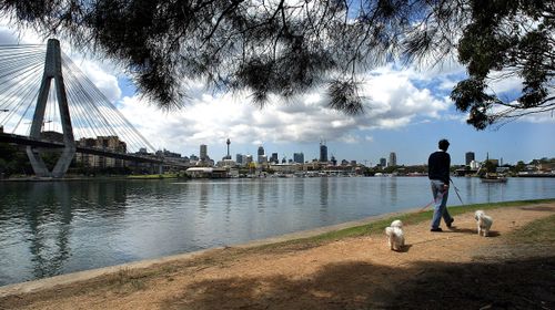 City of Sydney Council is reporting one sample of friable asbestos and several samples for bonded asbestos in mulch at Bicentennial Park, Glebe