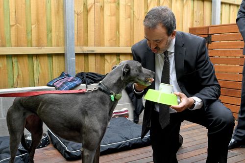 Minister for Racing Martin Pakula was on-hand to serve up some delicious "puppuchinos". (AAP)