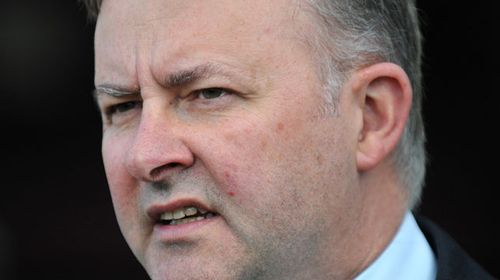Anthony Albanese. (AAP)