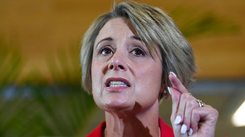 Former NSW premier Kristina Keneally takes frontbench Labor role