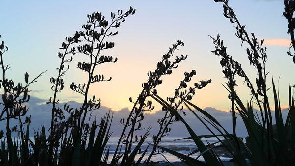 Magical sunset at Punakaiki