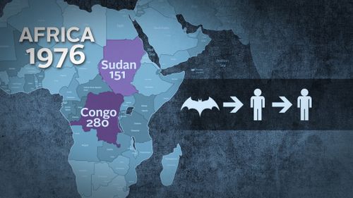 The first reported cases of Ebola were in the Sudan and the Democratic Republic of Congo in 1976 where they killed 151 and 280 people respectively. Particular bats living in tropical African forests are believed to be natural Ebola hosts. 