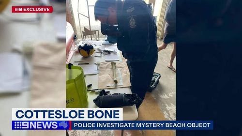 The discovery of a mysterious bone, which had washed up at Cottesloe Beach in Western Australia, has sparked an investigation.