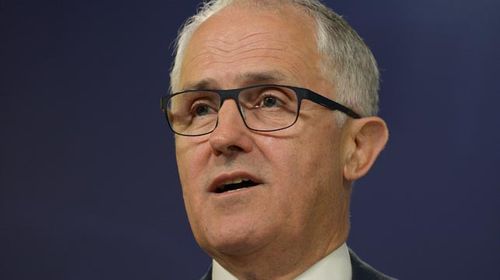 Federal Communications Minister Malcolm Turnbull. (AAP)