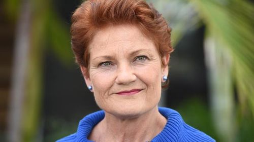 Pauline Hanson not welcome in Australian politics: Turnbull