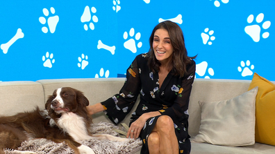 Dr Katrina Warren and her dog Chilli on Today Extra