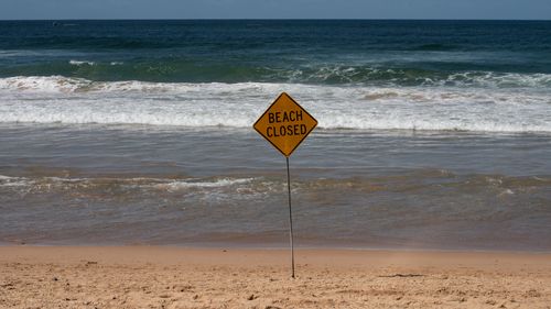 Surfer attacked by shark at Dee Why Beach in Sydney, on September 06, 2025 Photo: Flavio Brancaleone/The Sydney Morning Herald