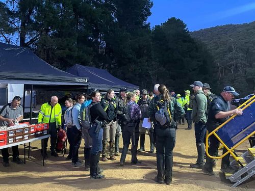 Search for Dezi Freeman 2/2/26