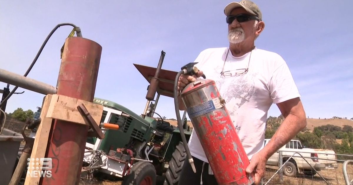 Victorian farmer ‘sorry’ after accidentally starting out-of-control grassfire – 9News