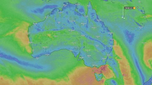 Winds over 100 km/hr topple trees, close roads across Sydney as bushfire contained - 9News