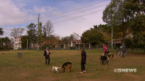 The Hills Shire council in Sydney's North is setting weight limitations on family pets to minimise the animal complaints they receive. 