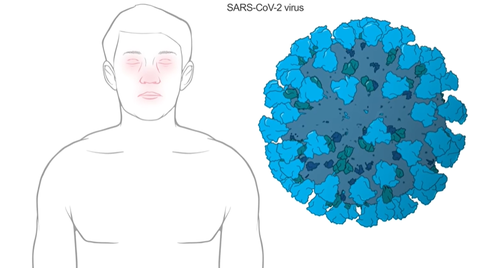 Moderna's vaccine candidate one of 23 in clinical trials across the world across WHO.