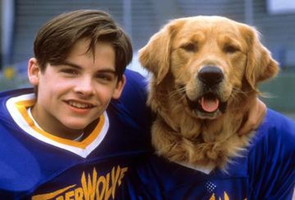 Air Bud: Golden Receiver