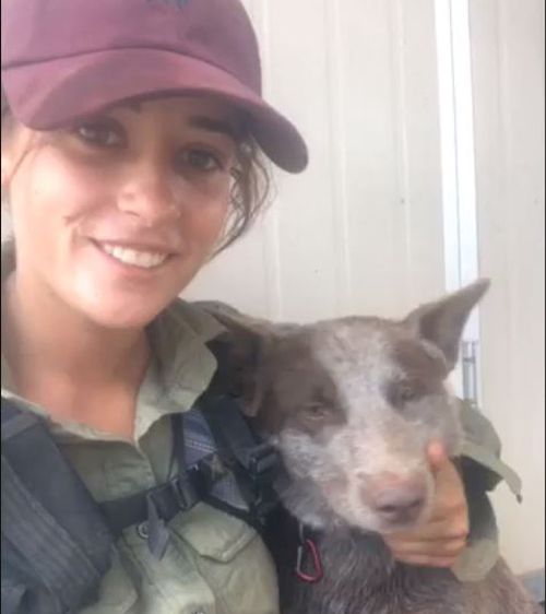 A young NSW woman has been reunited with her 'best friend' cattle dog in rural Western Australia after an arduous five-day search.