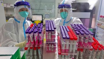 Workers handle swab samples for COVID-19 test at a hospital lab in Yantai in eastern China