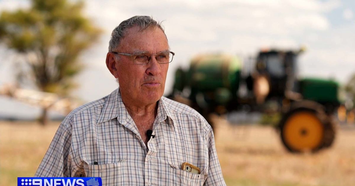 Farmers' food warning as they're forced to abandon paddocks due to lack of fuel