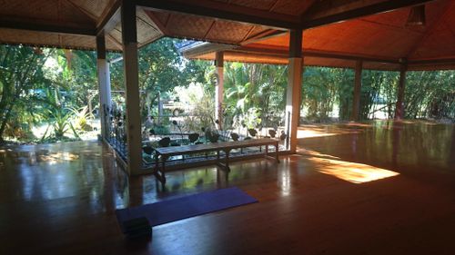 The Synergy Yoga Studio, complete with personal rainforest.