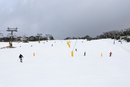 Skiers cut fresh tracks down a run at Perisher.