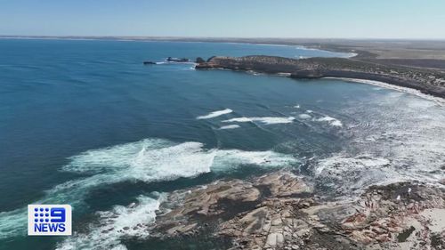 Streaky bay shark attack search