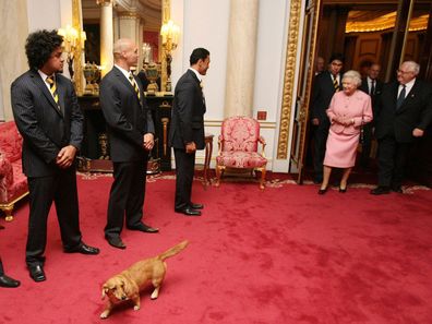 Queen and corgi at Buckingham Palace