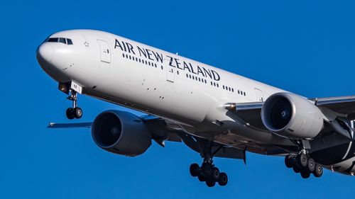 A 19-year-old Sydney man has been deported from New Zealand after typing “I have a bomb” into an Air New Zealand in-flight app.