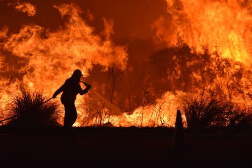 It's currently at advice level but is covering 360 hectares. Picture: Bryce Mansfield