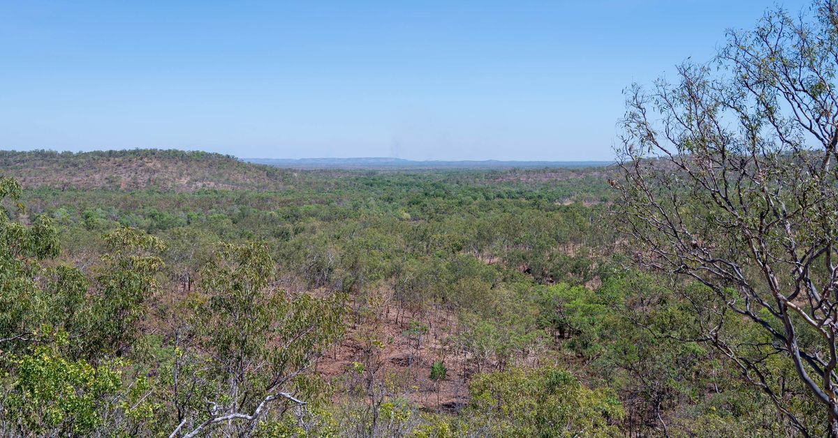 Man struck after running towards moving vehicle on outback NT road