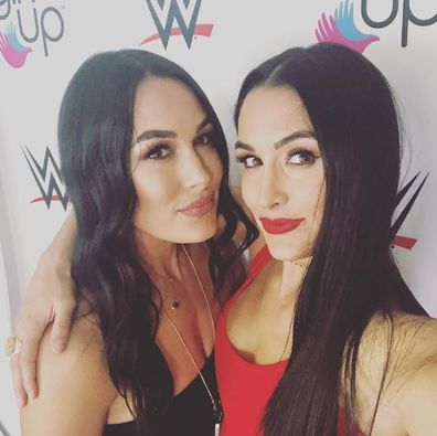 WWE, twins, Nikki Bella, Brie Bella