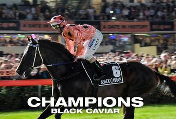 Champions - Black Caviar