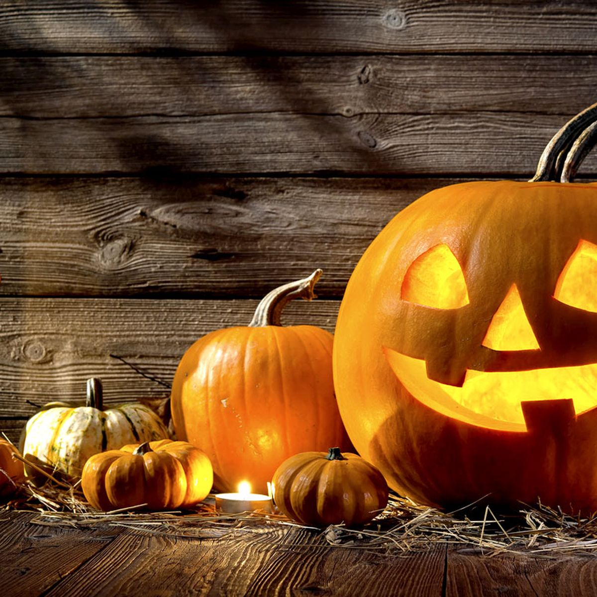 Why You Should Embrace Pumpkin This Halloween 9coach