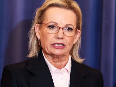 Liberal leader Sussan Ley and Deputy Liberal leader Ted O'Brien address the media at a press conference at Parliament House in Canberra on Tuesday, 13 May 2025. 