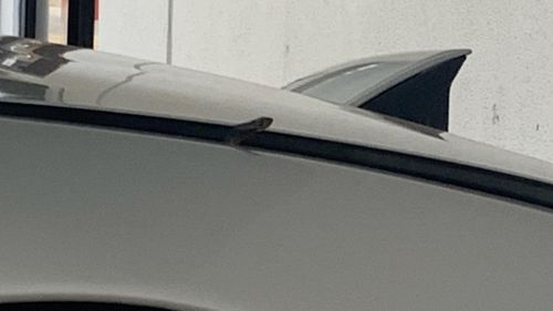 A juvenile red-bellied black snake was photographed popping its head out from the bonnet of a Nissan 180SX in Mulgrave, in Sydney's north west.