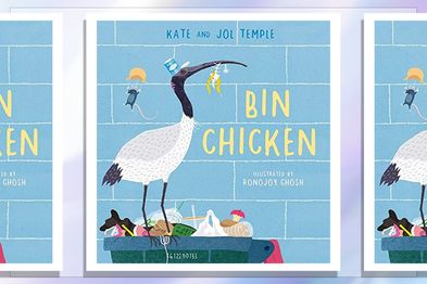9PR: Bin Chicken, by Kate Temple and Jol Temple book cover