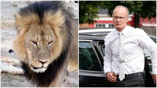 Charges dropped over Cecil the lion’s hunter