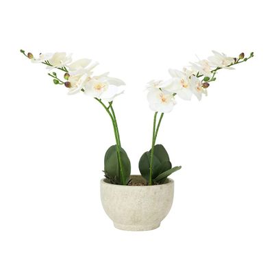 Artificial orchid in textured pot: $35