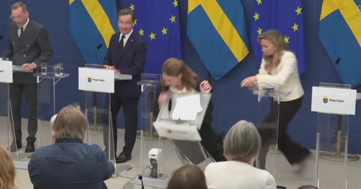 Swedish health minister collapses during media conference