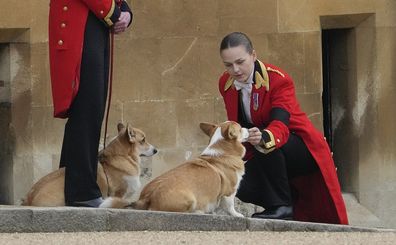 Members of staff, with corgi dogs, await the arrival of the coffin of Queen Elizabeth II at Windsor Castle, Windsor, England, Monday Sept. 19, 2022. The Queen, who died aged 96 on Sept. 8, will be buried at Windsor alongside her late husband, Prince Philip, who died last year. (AP Photo/Gregorio Borgia, Pool)