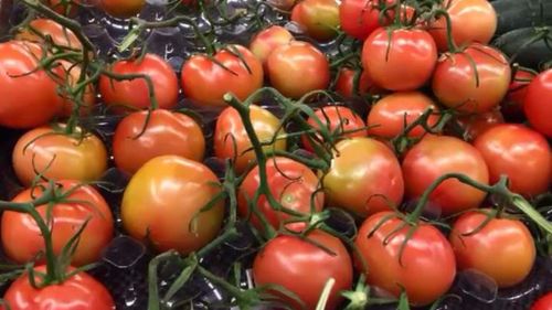 The sky-high tomato prices are predicted to settle in the next week. (9NEWS)
