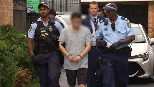 NSW Police make arrest of man into cybercrime texts 