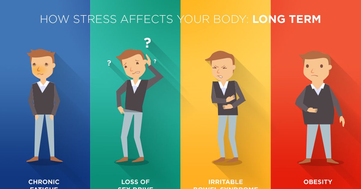 Your body. How stress affects your body.