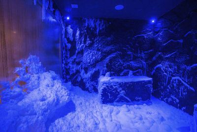 Viking's snow grotto